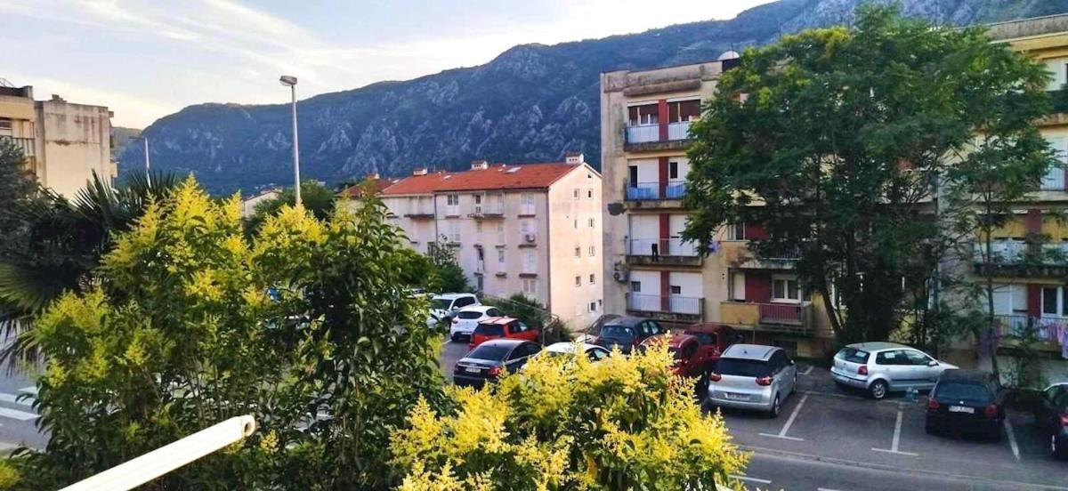 Apartment Lola - New, Located, Elegant & Super Tidy Kotor